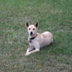 Meet your Posher, Paul